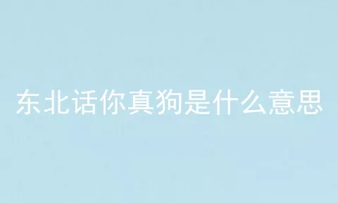 东北话你真狗是什么意思