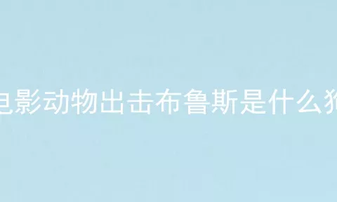 电影动物出击布鲁斯是什么狗