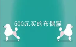 500元买的布偶猫