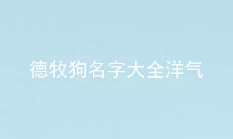 德牧狗名字大全洋气