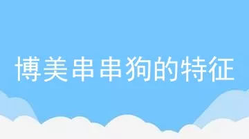 博美串串狗的特征