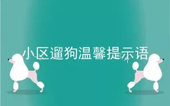 小区遛狗温馨提示语