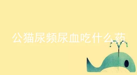 公猫尿频尿血吃什么药