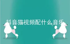 抖音猫视频配什么音乐