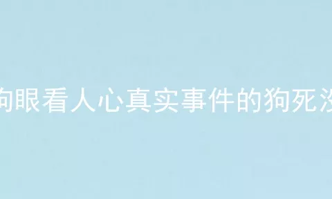 狗眼看人心真实事件的狗死没