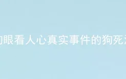 狗眼看人心真实事件的狗死没