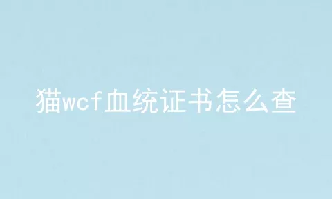 猫wcf血统证书怎么查