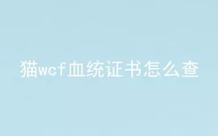 猫wcf血统证书怎么查