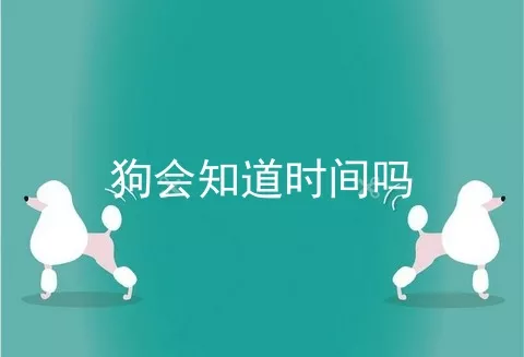 狗会知道时间吗