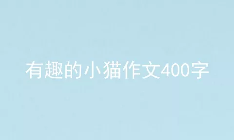 有趣的小猫作文400字