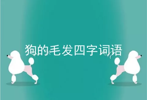 狗的毛发四字词语