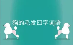 狗的毛发四字词语