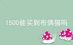 1500能买到布偶猫吗