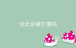 幼犬会被打傻吗