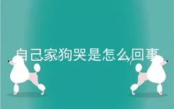 自己家狗哭是怎么回事