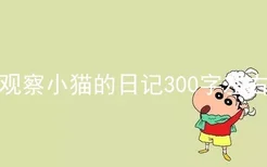 观察小猫的日记300字左右