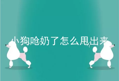 小狗呛奶了怎么甩出来