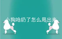 小狗呛奶了怎么甩出来