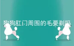 狗狗肛门周围的毛要剃吗