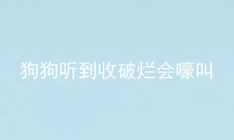 狗狗听到收破烂会嚎叫