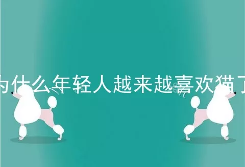 为什么年轻人越来越喜欢猫了