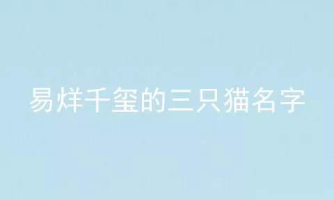 易烊千玺的三只猫名字