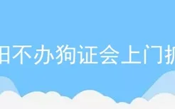 沈阳不办狗证会上门抓吗