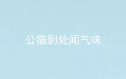 公猫到处闻气味