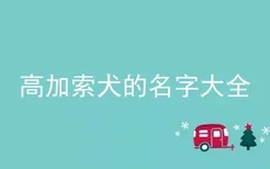 高加索犬的名字大全