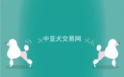 中亚犬交易网