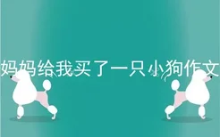 妈妈给我买了一只小狗作文