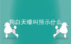 狗白天嚎叫预示什么