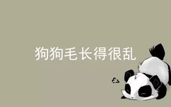 狗狗毛长得很乱