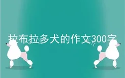 拉布拉多犬的作文300字