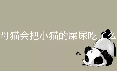 母猫会把小猫的屎尿吃了么