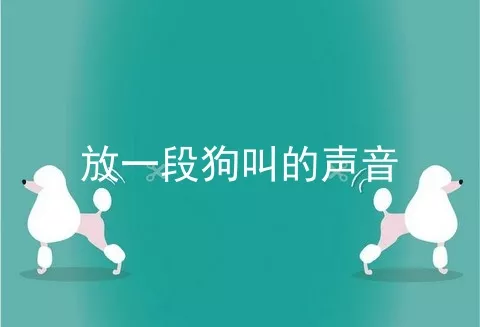 放一段狗叫的声音