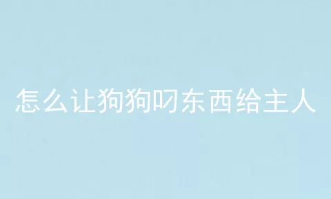 怎么让狗狗叼东西给主人