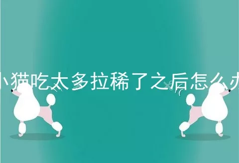 小猫吃太多拉稀了之后怎么办